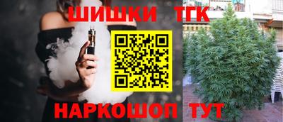 хмурый Кингисепп