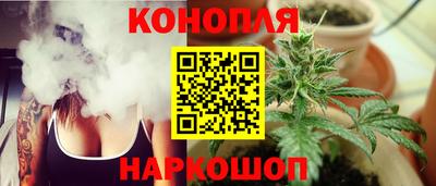 гашик Кимры