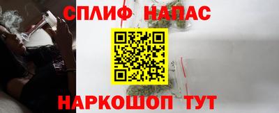 гашик Кимры
