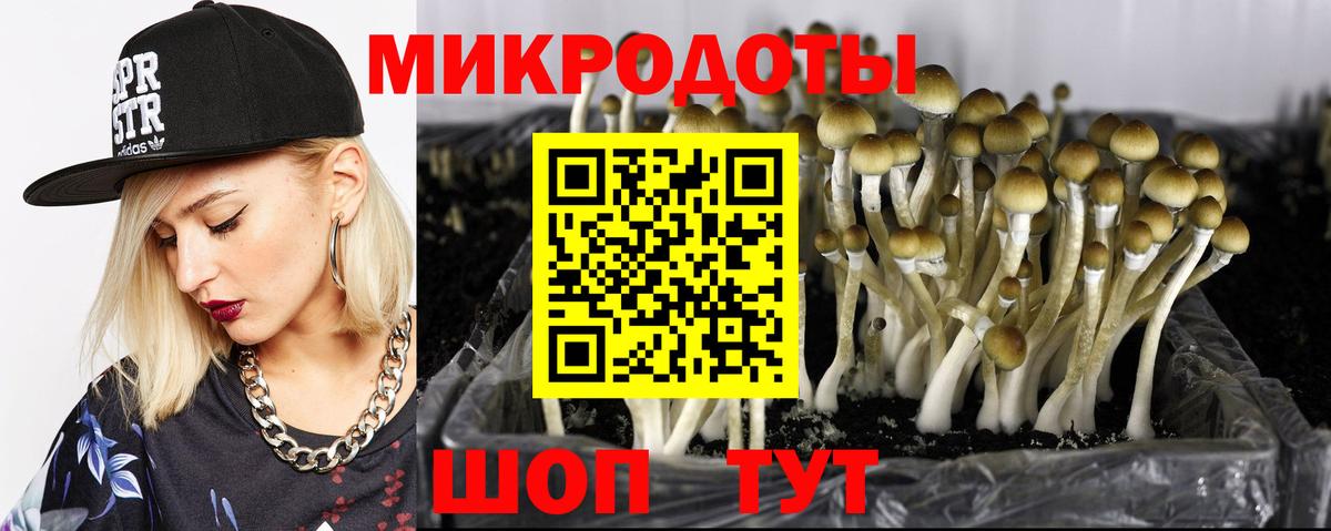 Галлюциногенные грибы мицелий Кубинка